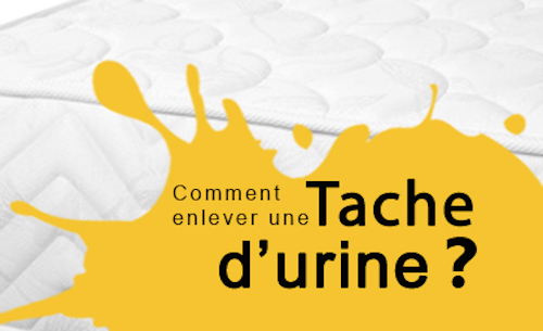 Apprentissage de la propreté : quelles erreurs éviter ? - Bulles à